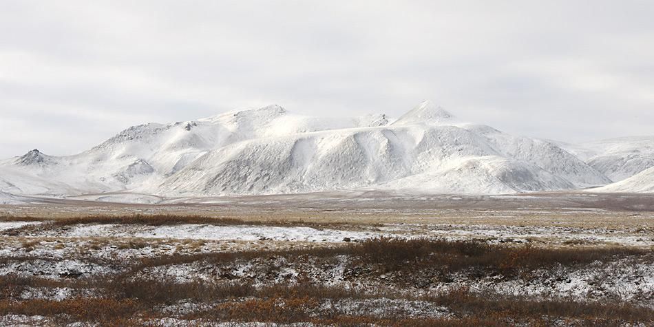 Grüne Zukunft für die Arktis?