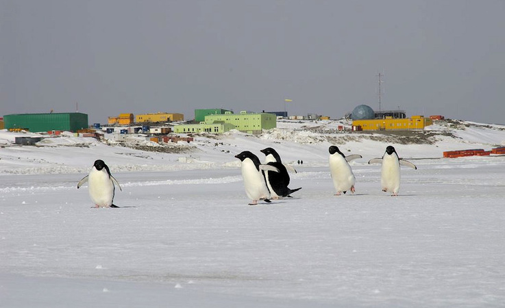 Die australische Antarktis-Station Davis liegt in der Ostantarktis, driekt an der Küste der