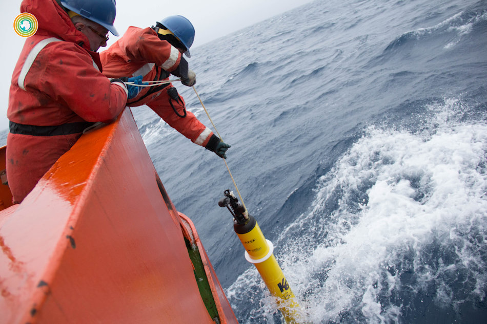 Die Drohnen werden von Forschern zu Wasser gelassen und sind danach autonom unterwegs, um Daten zu sammeln. Nach einer festgelegten Zeit werden sie dann wieder eingesammelt, damit sie nicht als Müll umhertreiben. Bild Greta Shum, UW