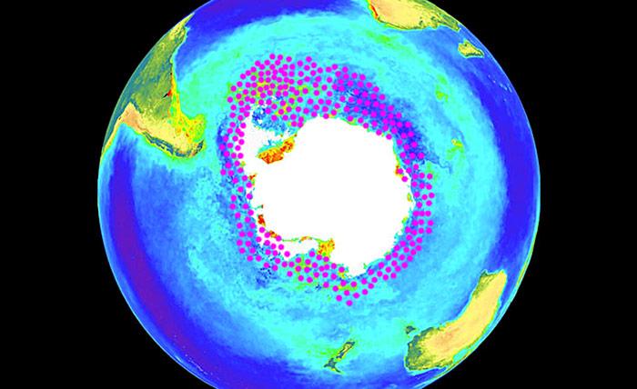 Krill-Verbreitungsgebiet