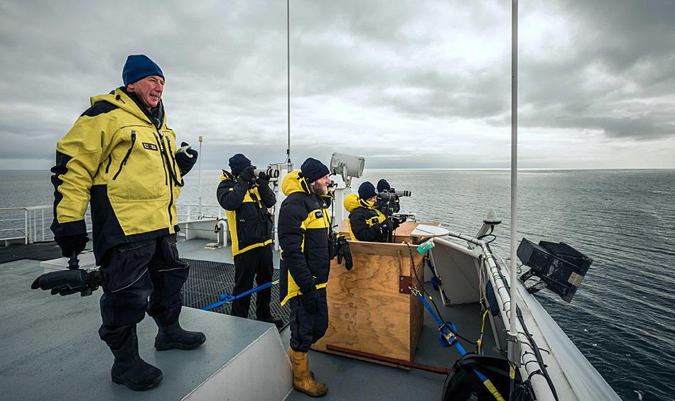 Blauwale sind trotz ihrer Grösse sehr schwer zu entdecken und es braucht einiges an Glück. Photo: Dave Allen, NIWA