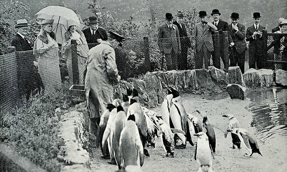 1934 - Königlicher Besuch im Zoo von Edinburgh durch King George V and Queen Mary.